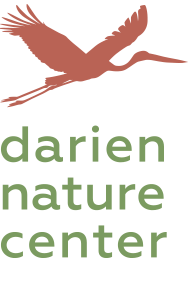 darien-nature-center-logo_2x.png